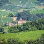 View of Winery business for sale in Italy