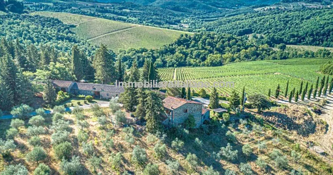 Organic Chianti Classico Property Immobiliare Italiano