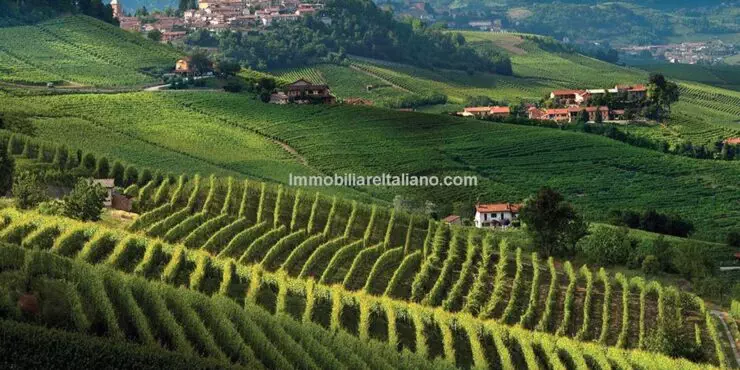 Italian Winery and Vineyard for Sale