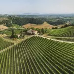 Working wine and olive oil producing estate and accommodation business in Tuscany which also provides an interesting property development opportunity.