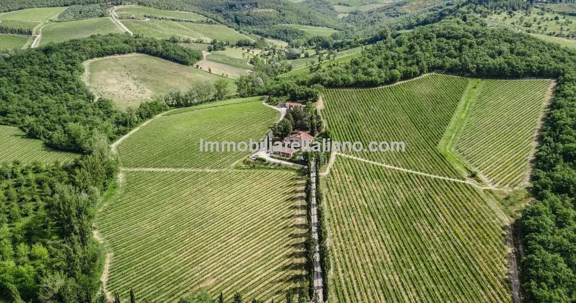 Organic wine estate for sale in Tuscany
