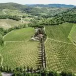 Organic Wine Estate, specialising in Chianti Classico, with Agriturismo and 12 hectares of land for sale in Tuscany. World wide customer base and possible to expand wine production.