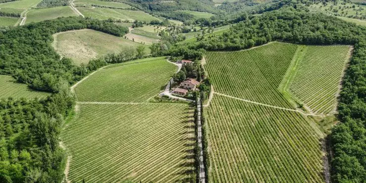 Organic wine estate for sale in Tuscany