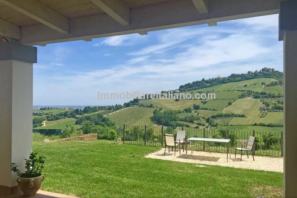 SOLDCesena  Emilia Romagna, Sangiovese vineyard