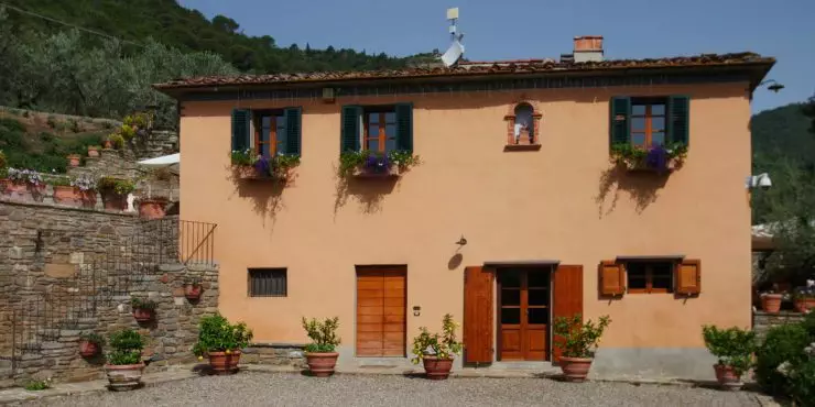 Tuscan country villa, olives, land Castiglion Fiorentino