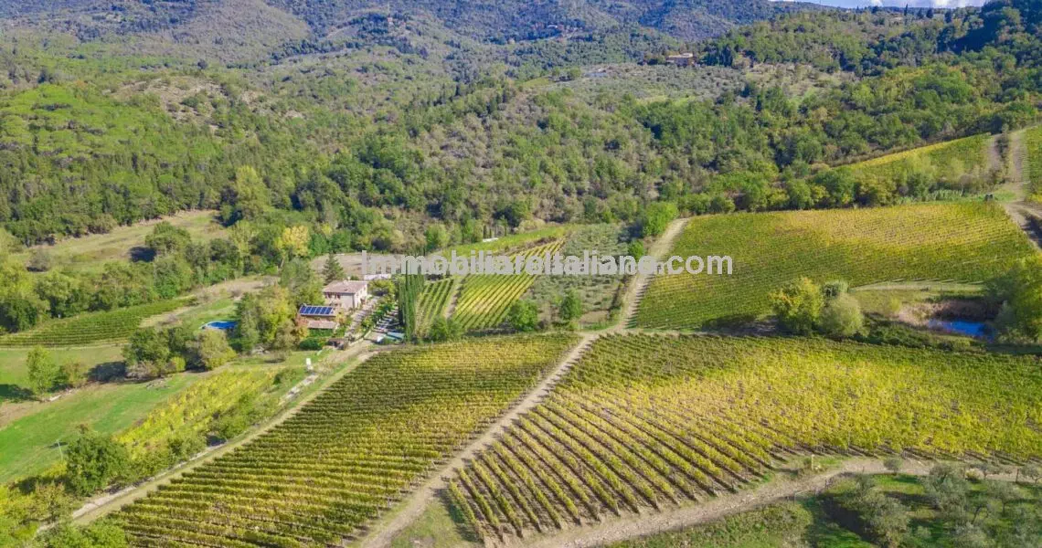 SOLDSmall wine estate with Agriturismo