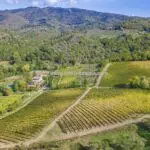 Wine estate for sale in Tuscany