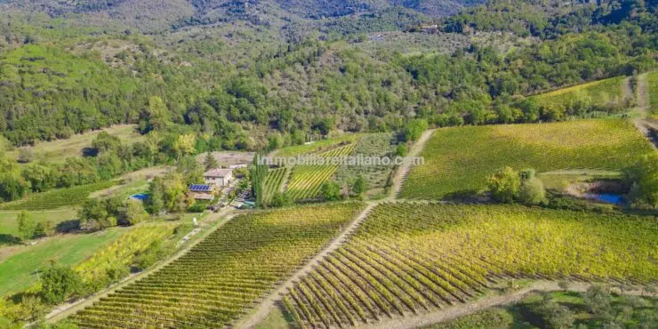 SOLDSmall wine estate with Agriturismo