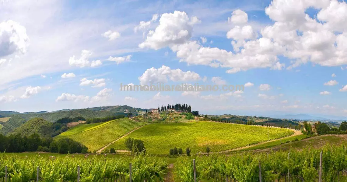 Agriturismo and wine estate