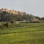 Winery and Agriturismo
