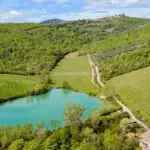 View of land and lake - Chianti vineyard and olive grove business in Tuscany Italy