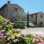 External view of Agriturismo for sale in Tuscany Italy