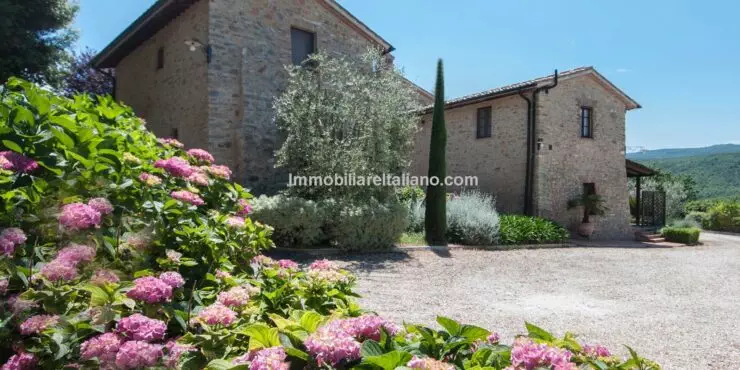 Agriturismo with swimming pool for sale