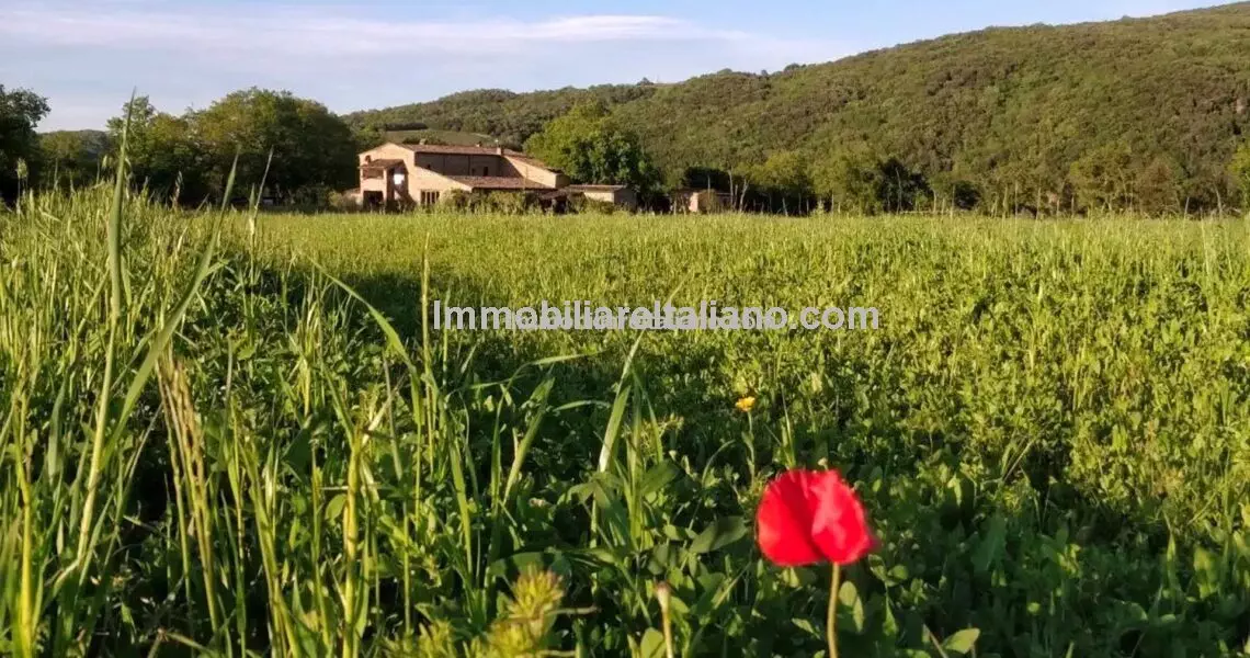 Tuscan Home and Income